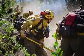 FUEGO PATAGONIA