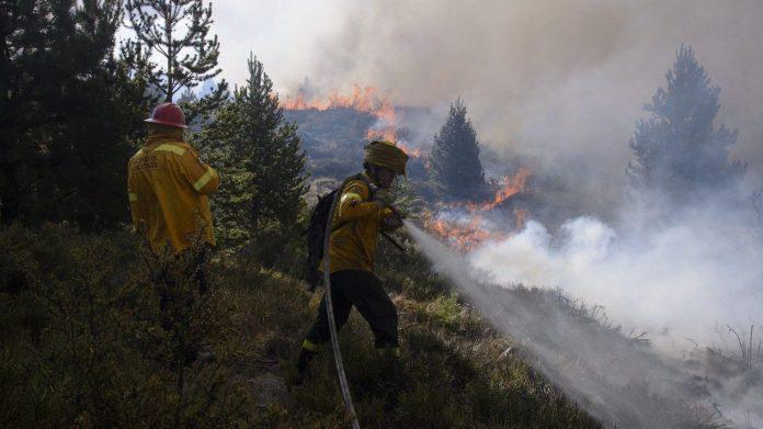 0907incendiosforestales-1012873-696x391