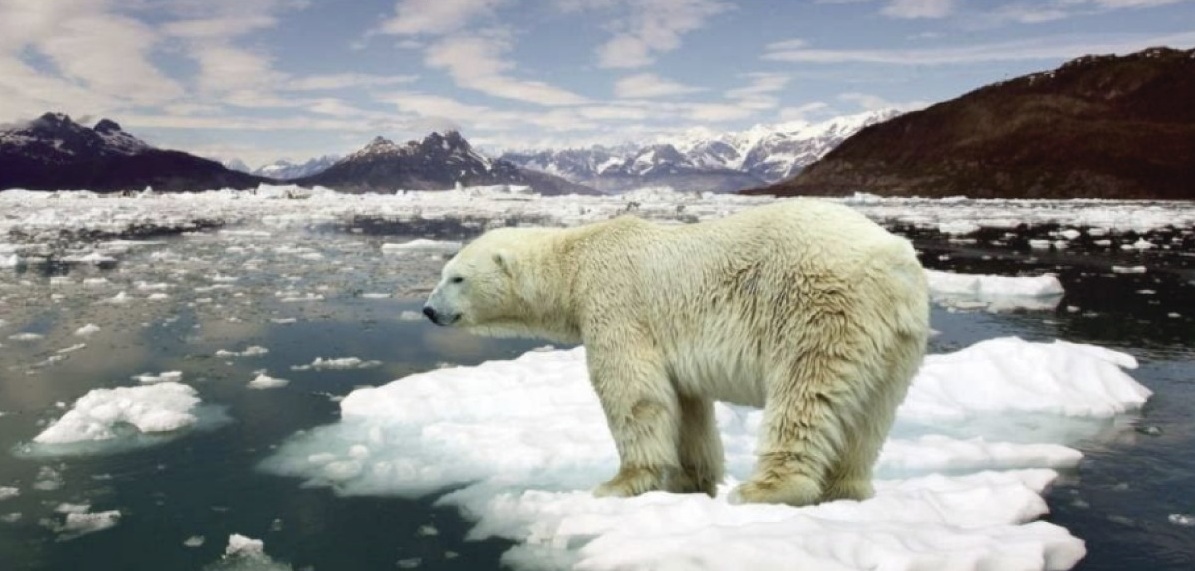 Cambio climático