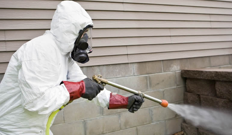servicio-de-fumigacion-de-empresas-y-casas-en-quibdo-choco