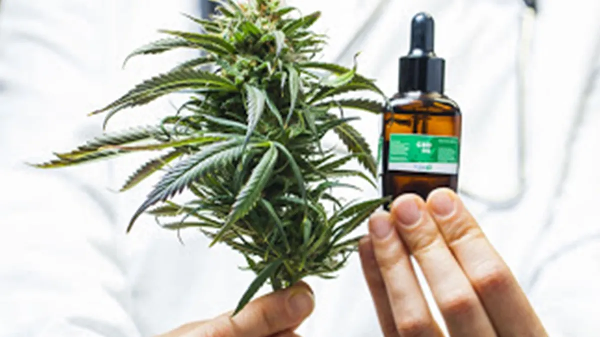 cannabis-medicinal