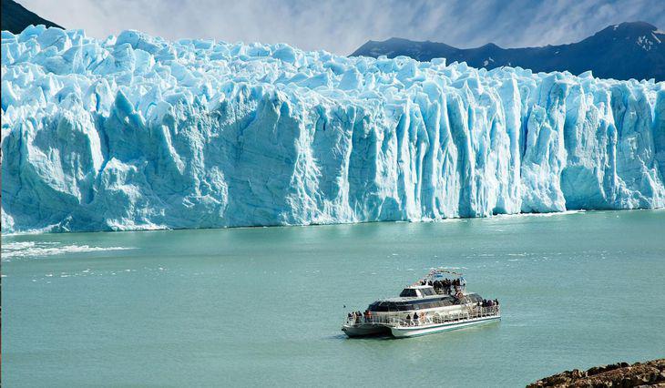calafate
