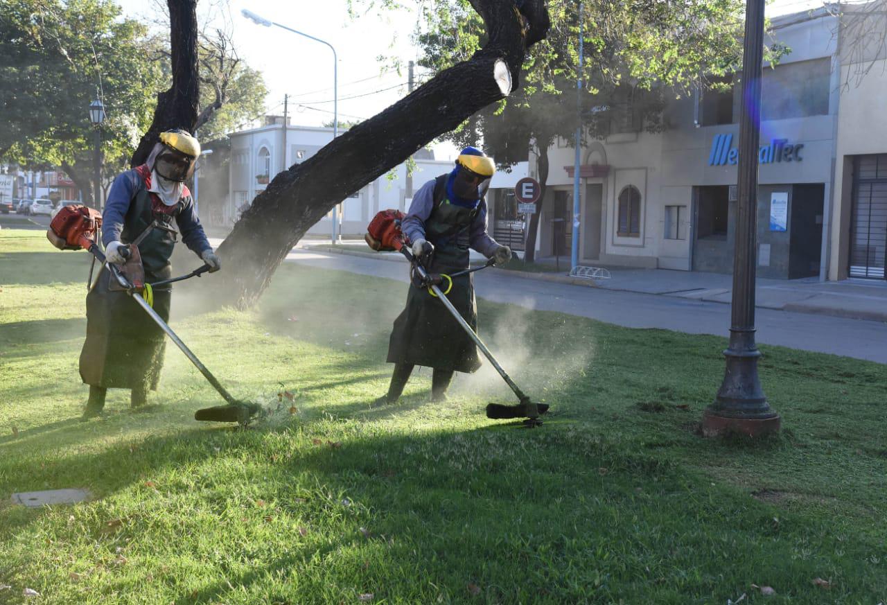 operativo verde 2