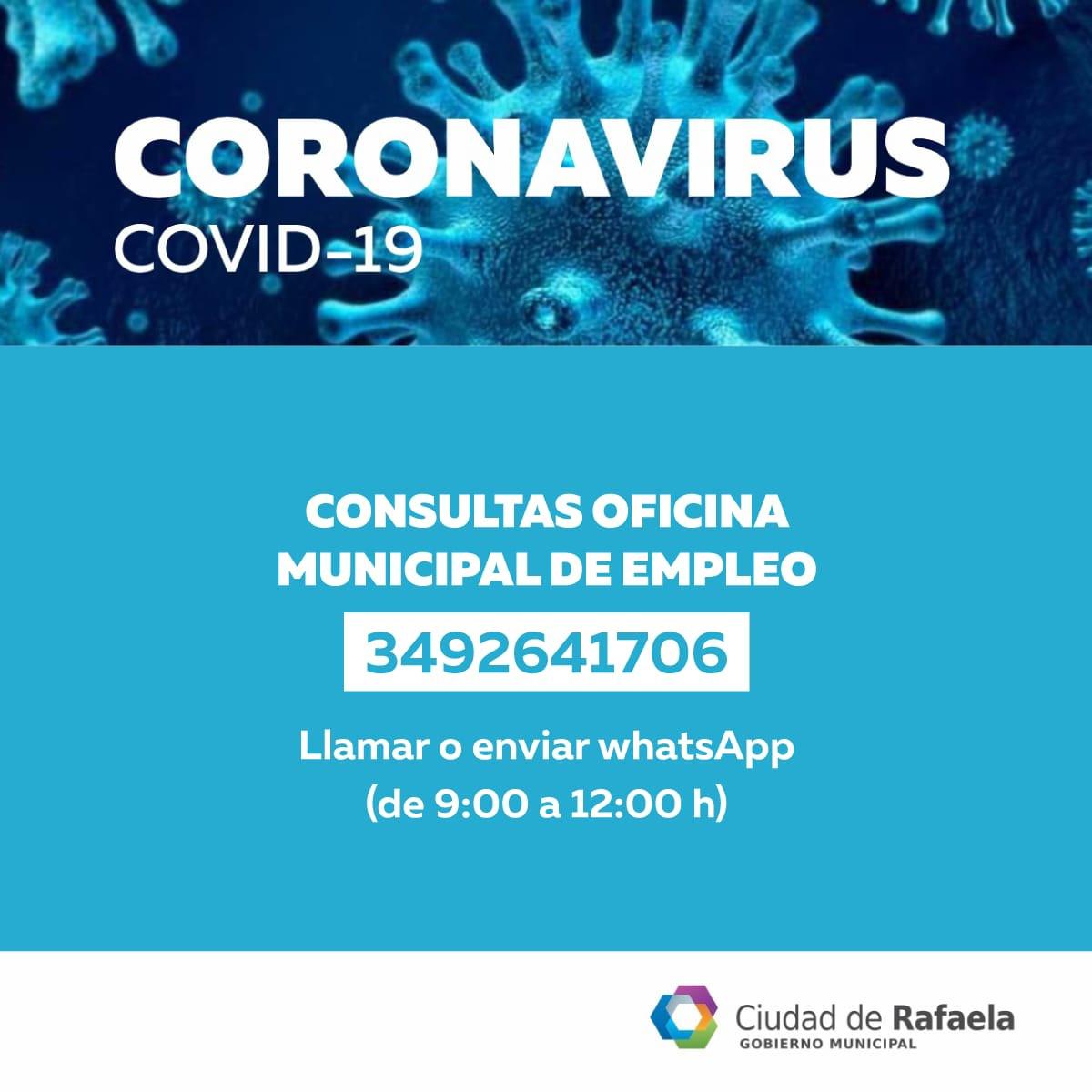 consultas