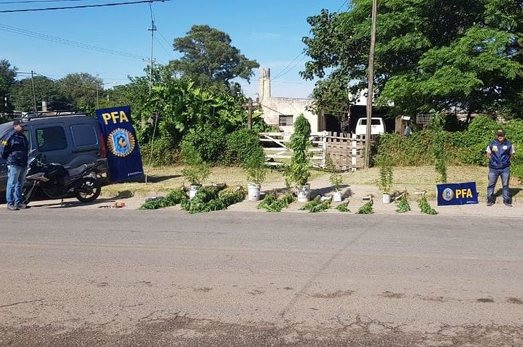 282584_casa_plantas_marihuana_1024_x_680