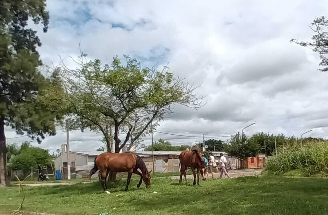 Imagen-de-WhatsApp-2024-01-10-a-las-17.34.33_42b97067