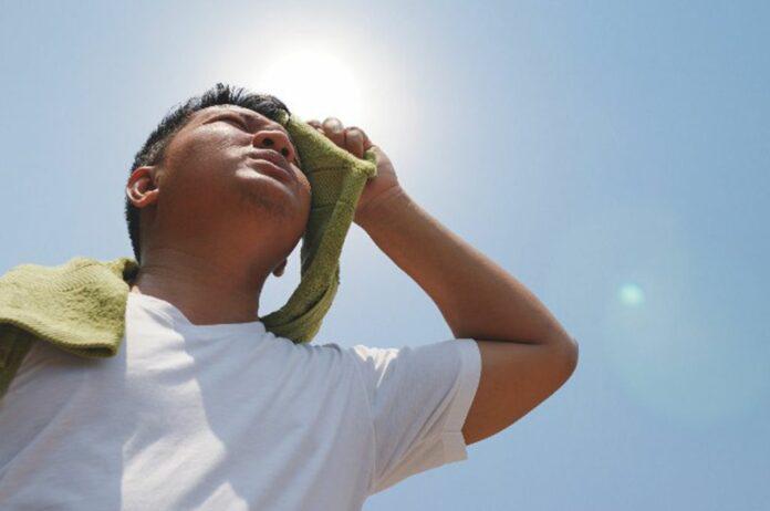 calor-696x462