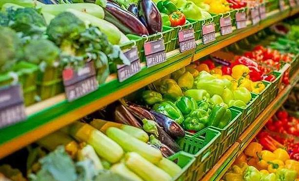 came-agroalimentos