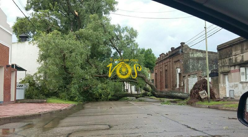 TORMENTA