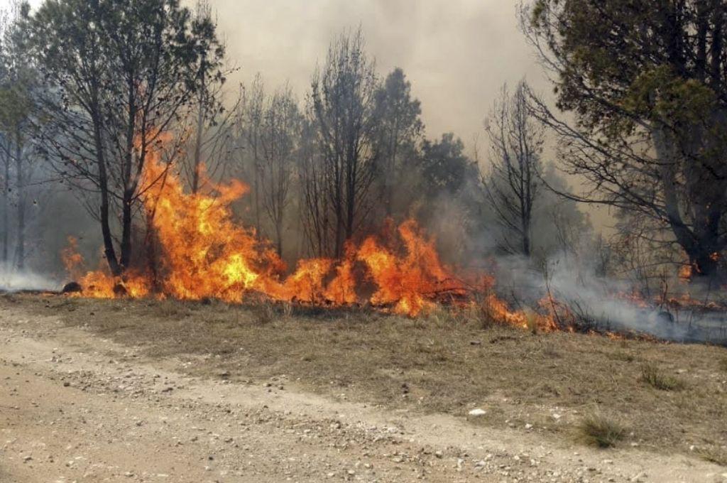 incendios-2