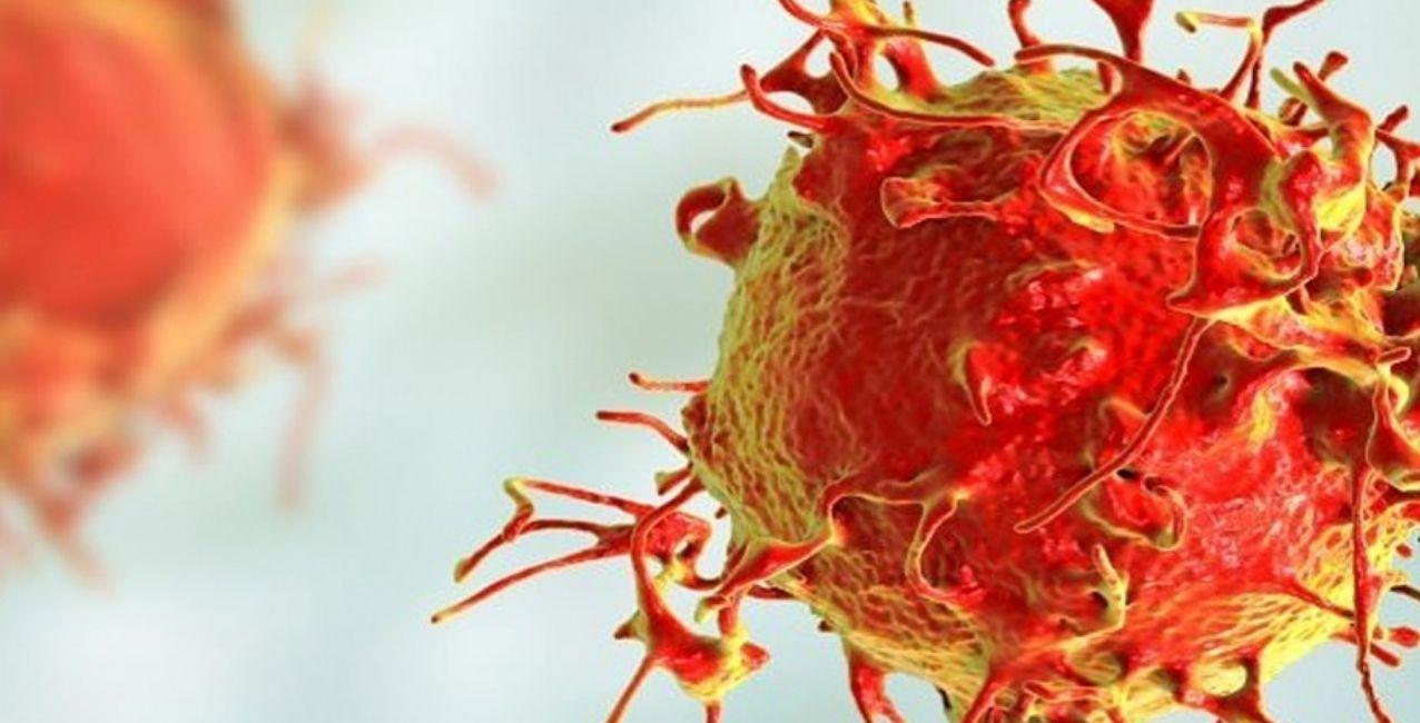 leucemia