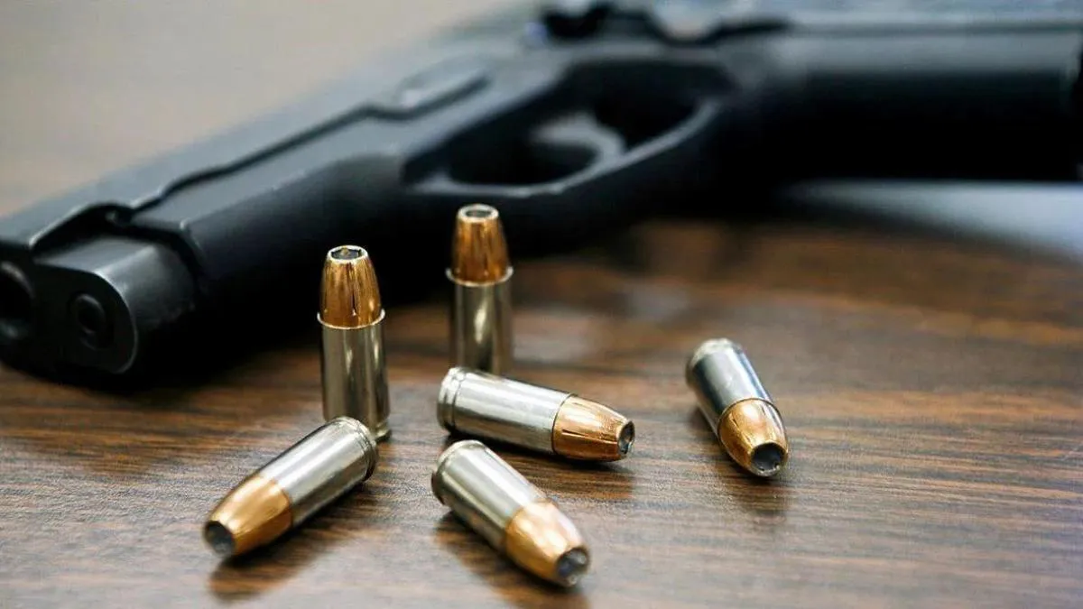 PORTACION DE ARMAS