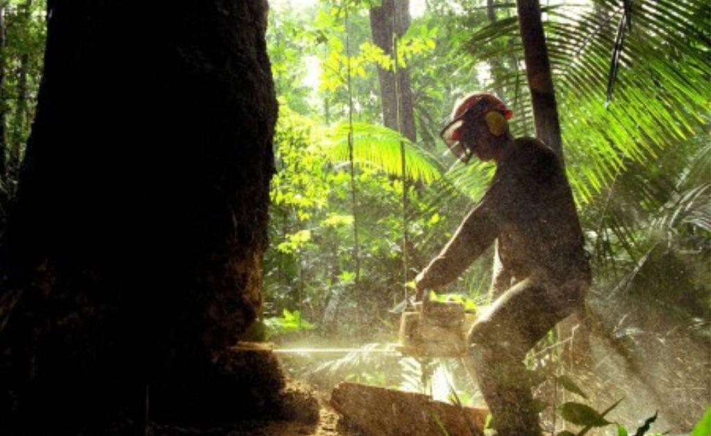 Amazonia-brasilera